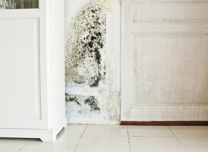 UK’s first anti-mould supported housing project completed